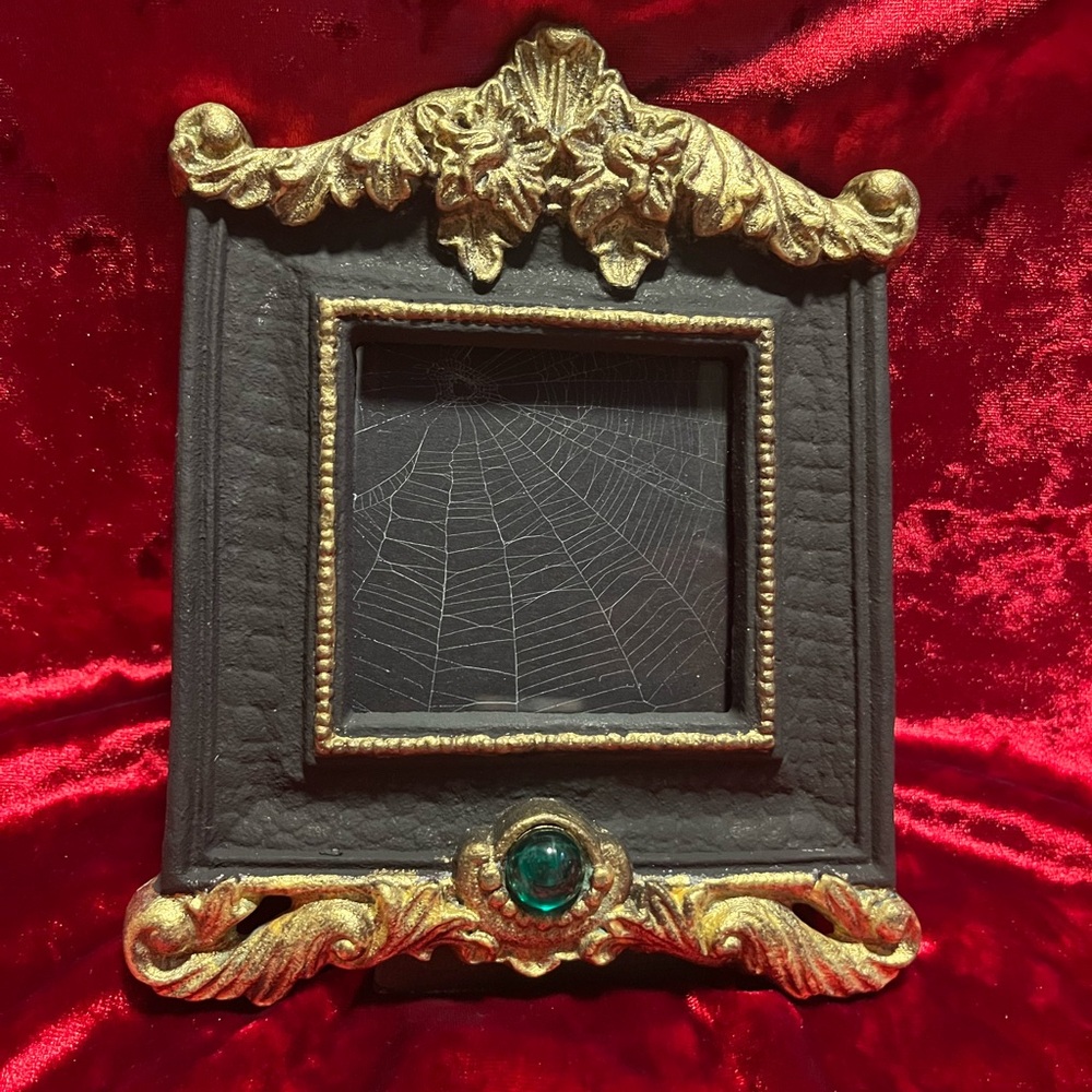 Gothic framed spiderweb